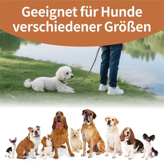 Retrieverleine mit Zugstopp, 180 cm Hundeleine mit Halsband, Witterungsbeständig Leine Hund Einstellbar Trainingsleine für Kleine bis Große Hunde