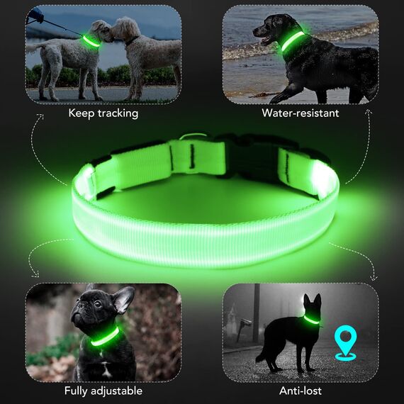 KOSKILL Leuchthalsband Hund Wiederaufladbare USB LED Hundehalsband Wasserdichtes Leuchtendes Hunde Halsband Einstellbare Super Helle für Kleine Mittlere Große Hunde (Grün, M)