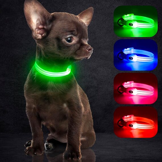 YFbrite Leuchtende Hundehalsbänder, USB-aufladbares LED-Hundehalsband, verstellbares LED-Katzenhalsband, langlebiges Blinkhalsband für Katzen, Welpen, kleine, mittelgroße und große Hunde (Grün, XS)
