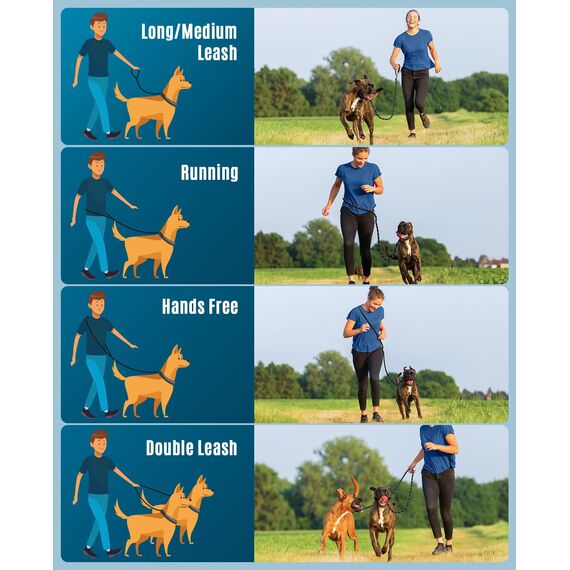 oneisall Hundeleine für Große & Mittelgroße Hund(15-60kg), 3m Verstellbare Doppelleine & Freihandleine aus Nylon mit Reflektierend durch die Extreme Kraft bis 200 kg