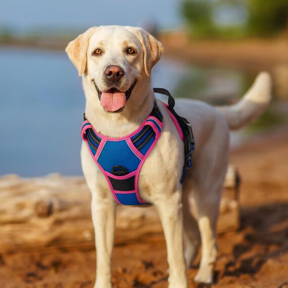 rabbitgoo Hundegeschirr Grosse Hunde, Anti Zug Geschirr mit Kontrolle, No Pull Verstellbar Hundegeschirr Mittelgroße Hunde, Atmungsaktiv Reflexstreifen Brustgeschirr Sichere Führung, Blau & Rosarot, L