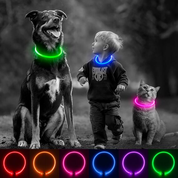 iTayga leuchthalsband Hund, USB-aufladbar und wasserdicht hundehalsband, verstellbare Länge, Sicherheitshalsband für Hunde und Katzen, 3 Modi, Grün