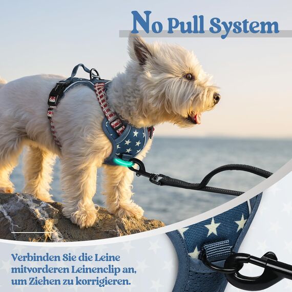 rabbitgoo Hundegeschirr Mittelgroße Hunde, Anti Zug Geschirr mit Kontrolle, No Pull Verstellbar Hundegeschirr Grosse Hunde, Atmungsaktiv Reflexstreifen Brustgeschirr Sichere，Blauer Stern，XS