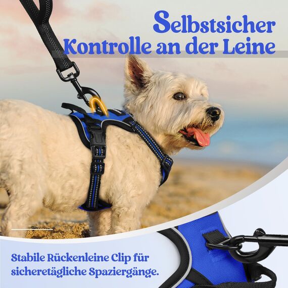 rabbitgoo Hundegeschirr Kleine Hunde, Anti Zug Geschirr mit Kontrolle, No Pull Verstellbar Hundegeschirr Grosse Hunde, Atmungsaktiv Reflexstreifen Brustgeschirr Sichere Führung Blau XS