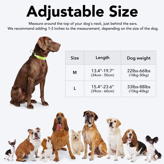 KOSKILL Leuchthalsband Hund Wiederaufladbare USB LED Hundehalsband Wasserdichtes Leuchtendes Hunde Halsband Einstellbare Super Helle für Kleine Mittlere Große Hunde (Grün, M)