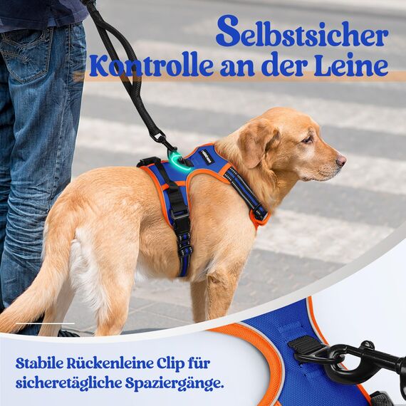 rabbitgoo Hundegeschirr Grosse Hunde, Anti Zug Geschirr mit Kontrolle, No Pull Verstellbar Hundegeschirr Mittelgroße Hunde, Atmungsaktiv Reflexstreifen Brustgeschirr Sichere Führung, Blau & Orange, XL