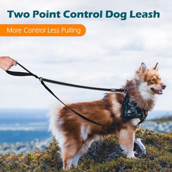 PetBonus No Pull Anti-Zieh Hundeleine, Keine Verwicklung Doppelleine für Anti-Zug Geschirr, Reflektierend Hundeleine zum Trainieren und Gassi gehen für große mittlere Hunde (Schwarz)