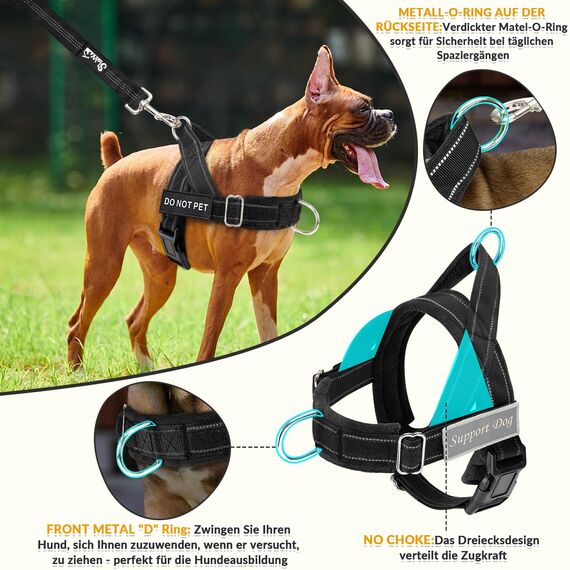 Eyein Hundegeschirr mit Leine für große mittelgroße Hunde, Weich gepolsterter Brustgeschirr mit 2 Leinenclips, Reflektierend & Leichtgewicht Anti Zug Geschirr für Spaziergänge Training, Schwarz, L
