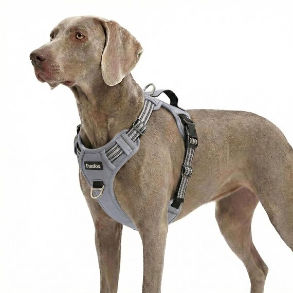 Funfox Hundegeschirr Grosse Hunde [XL] - Verstellbares Anti-Zug Brustgeschirr mit Griff & Reflektorstreifen, Atmungsaktives No Pull Hundegeschirr für Grosse/Mittelgroße Hunde Outdoor Grau