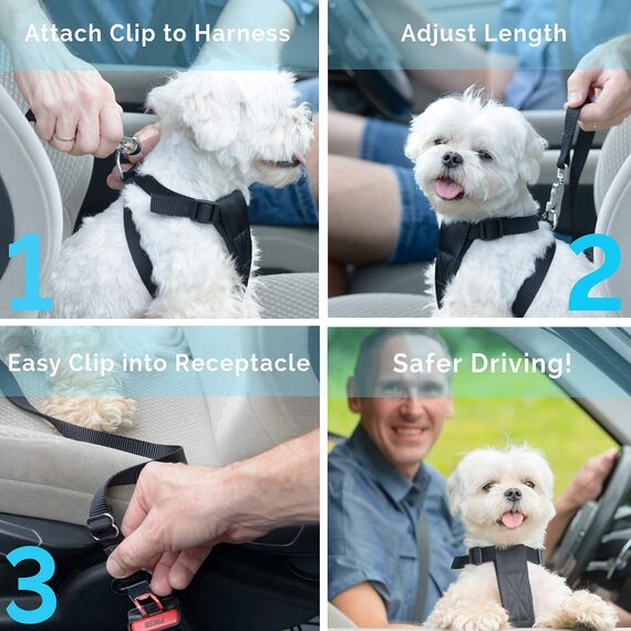 [2 Stück] Hunde Sicherheitsgurt, elloLife Einstellbar Hundesicherheitsgurt Sicherheitsgeschirr für Auto für alle Hunderassen Katzen& Autotypen, Schwarz