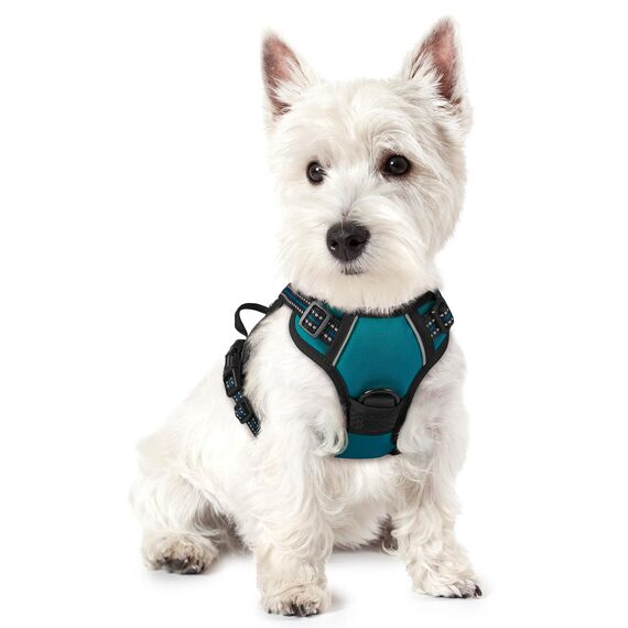rabbitgoo Hundegeschirr Kleine Hunde, Anti Zug Geschirr mit Kontrolle, No Pull Verstellbar Hundegeschirr Grosse Hunde, Atmungsaktiv Reflexstreifen Brustgeschirr Sichere Führung Dunkelgrün XS