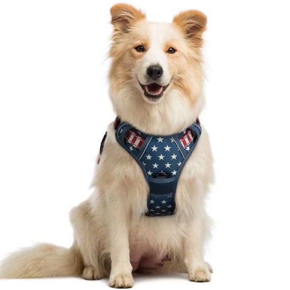 rabbitgoo Hundegeschirr Mittelgroße Hunde, Anti Zug Geschirr mit Kontrolle, No Pull Verstellbar Hundegeschirr Grosse Hunde, Atmungsaktiv Reflexstreifen Brustgeschirr Sichere，Blauer Stern，M
