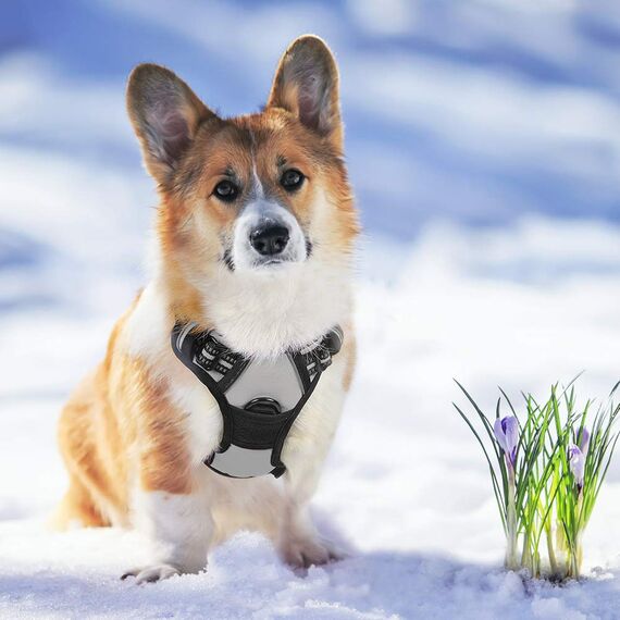 rabbitgoo Hundegeschirr Mittelgroße Hunde, Anti Zug Geschirr mit Kontrolle, No Pull Verstellbar Hundegeschirr Grosse Hunde, Atmungsaktiv Reflexstreifen Brustgeschirr Sichere Führung Grau S