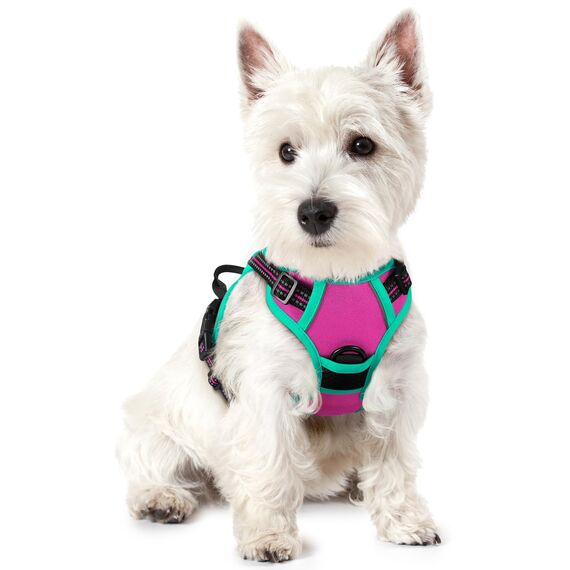 rabbitgoo Hundegeschirr Mittelgroße Hunde, Anti Zug Geschirr mit Kontrolle, No Pull Verstellbar Hundegeschirr Grosse Hunde, Atmungsaktiv Reflexstreifen Brustgeschirr Sichere，Rosarot & Mint Grün，XS