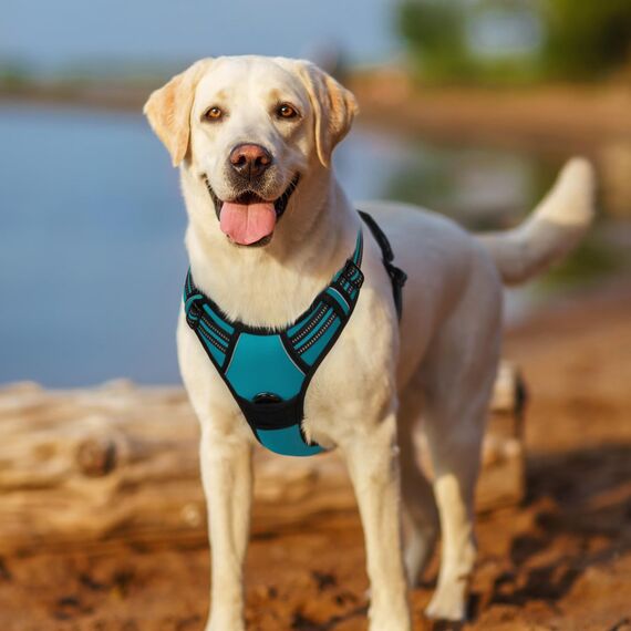 rabbitgoo Hundegeschirr Grosse Hunde, Anti Zug Geschirr mit Kontrolle, No Pull Verstellbar Hundegeschirr Mittelgroße Hunde, Atmungsaktiv Reflexstreifen Brustgeschirr Sichere Führung, Blaugrün, XL