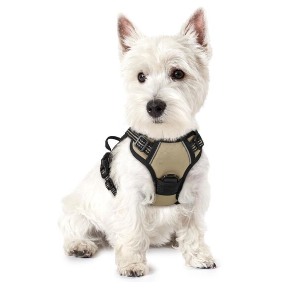 rabbitgoo Hundegeschirr Kleine Hunde, Anti Zug Geschirr mit Kontrolle, No Pull Verstellbar Hundegeschirr Grosse Hunde, Atmungsaktiv Reflexstreifen Brustgeschirr Sichere Führung Kaki XS