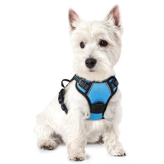 rabbitgoo Hundegeschirr Kleine Hunde, Anti Zug Geschirr mit Kontrolle, No Pull Verstellbar Hundegeschirr Grosse Hunde, Atmungsaktiv Reflexstreifen Brustgeschirr Sichere Führung Hellblau XS