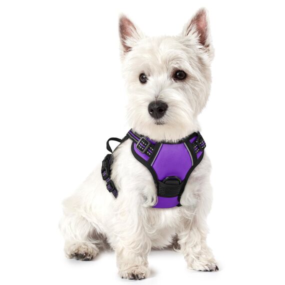 rabbitgoo Hundegeschirr Kleine Hunde, Anti Zug Geschirr mit Kontrolle, No Pull Verstellbar Hundegeschirr Grosse Hunde, Atmungsaktiv Reflexstreifen Brustgeschirr Sichere Führung Lila XS