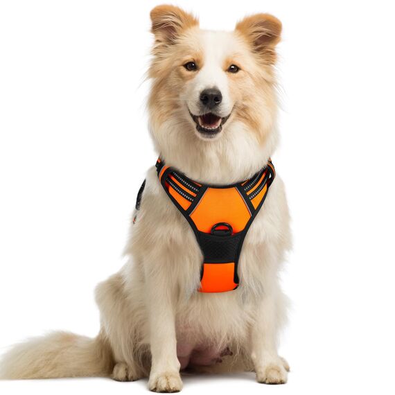 rabbitgoo Hundegeschirr Mittelgroße Hunde Anti Zug Geschirr Hund mit Kontrolle No Pull Verstellbar Hundegeschirr Grosse Hunde Atmungsaktiv Reflexstreifen Brustgeschirr Hund Sichere Führung Orange M