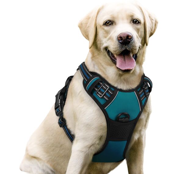 rabbitgoo Hundegeschirr Mittelgroße Hunde, Anti Zug Geschirr mit Kontrolle, No Pull Verstellbar Hundegeschirr Grosse Hunde, Atmungsaktiv Reflexstreifen Brustgeschirr Sichere Führung Dunkelgrün L