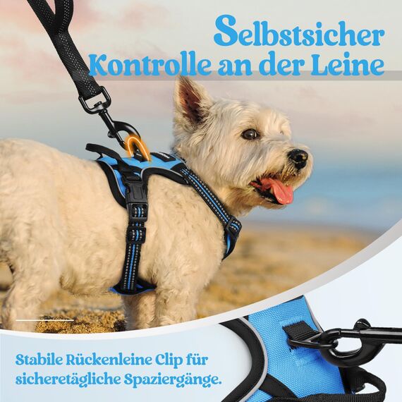 rabbitgoo Hundegeschirr Kleine Hunde, Anti Zug Geschirr mit Kontrolle, No Pull Verstellbar Hundegeschirr Grosse Hunde, Atmungsaktiv Reflexstreifen Brustgeschirr Sichere Führung Hellblau XS