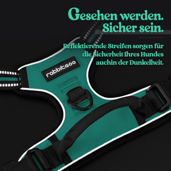 rabbitgoo Hundegeschirr Grosse Hunde, Anti Zug Geschirr mit Kontrolle, No Pull Verstellbar Hundegeschirr Mittelgroße Hunde, Atmungsaktiv Reflexstreifen Brustgeschirr Sichere Führung, Mint Grün, XL