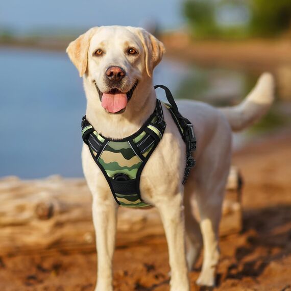 rabbitgoo Hundegeschirr Mittelgroße Hunde, Anti Zug Geschirr mit Kontrolle, No Pull Verstellbar Hundegeschirr Grosse Hunde, Atmungsaktiv Reflexstreifen Brustgeschirr Sichere，Camouflage Grün，M