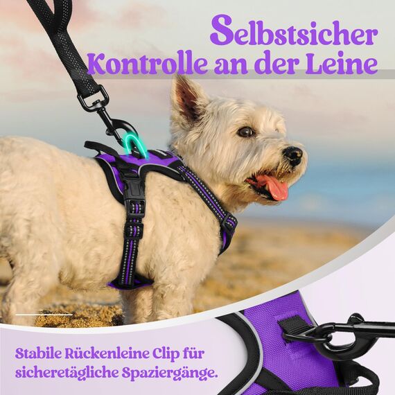 rabbitgoo Hundegeschirr Kleine Hunde, Anti Zug Geschirr mit Kontrolle, No Pull Verstellbar Hundegeschirr Grosse Hunde, Atmungsaktiv Reflexstreifen Brustgeschirr Sichere Führung Lila XS
