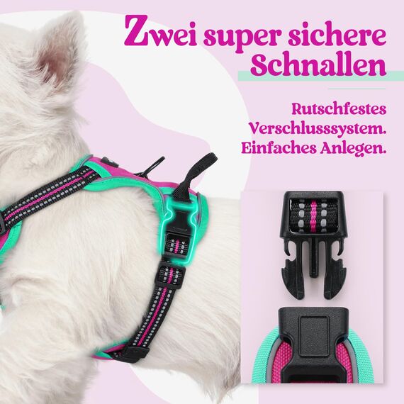 rabbitgoo Hundegeschirr Mittelgroße Hunde, Anti Zug Geschirr mit Kontrolle, No Pull Verstellbar Hundegeschirr Grosse Hunde, Atmungsaktiv Reflexstreifen Brustgeschirr Sichere，Rosarot & Mint Grün，XS