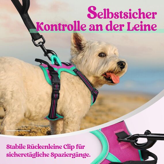 rabbitgoo Hundegeschirr Mittelgroße Hunde, Anti Zug Geschirr mit Kontrolle, No Pull Verstellbar Hundegeschirr Grosse Hunde, Atmungsaktiv Reflexstreifen Brustgeschirr Sichere，Rosarot & Mint Grün，XS