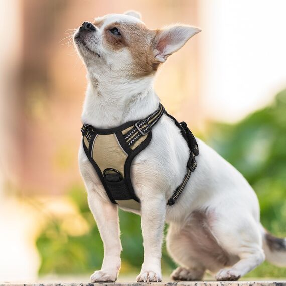 rabbitgoo Hundegeschirr Kleine Hunde, Anti Zug Geschirr mit Kontrolle, No Pull Verstellbar Hundegeschirr Grosse Hunde, Atmungsaktiv Reflexstreifen Brustgeschirr Sichere Führung Kaki XS