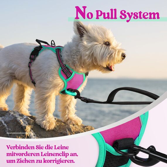 rabbitgoo Hundegeschirr Mittelgroße Hunde, Anti Zug Geschirr mit Kontrolle, No Pull Verstellbar Hundegeschirr Grosse Hunde, Atmungsaktiv Reflexstreifen Brustgeschirr Sichere，Rosarot & Mint Grün，XS
