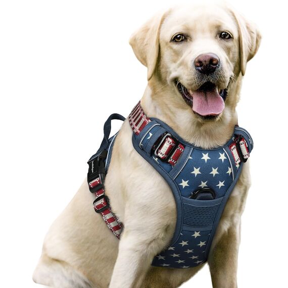 rabbitgoo Hundegeschirr Mittelgroße Hunde, Anti Zug Geschirr mit Kontrolle, No Pull Verstellbar Hundegeschirr Grosse Hunde, Atmungsaktiv Reflexstreifen Brustgeschirr Sichere，Blauer Stern，L