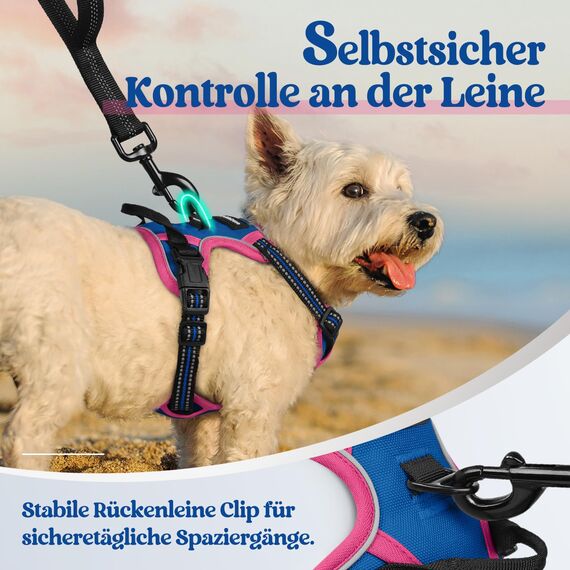 rabbitgoo Hundegeschirr Mittelgroße Hunde, Anti Zug Geschirr mit Kontrolle, No Pull Verstellbar Hundegeschirr Grosse Hunde, Atmungsaktiv Reflexstreifen Brustgeschirr Sichere Führung,Blau & Rosarot,XS