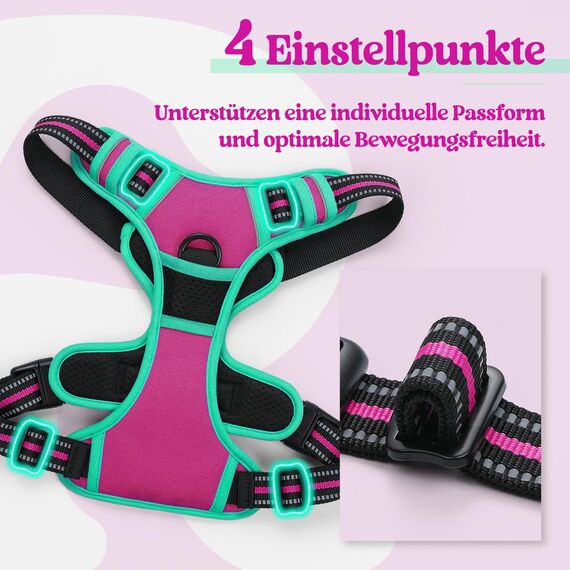 rabbitgoo Hundegeschirr Mittelgroße Hunde, Anti Zug Geschirr mit Kontrolle, No Pull Verstellbar Hundegeschirr Grosse Hunde, Atmungsaktiv Reflexstreifen Brustgeschirr Sichere，Rosarot & Mint Grün，M