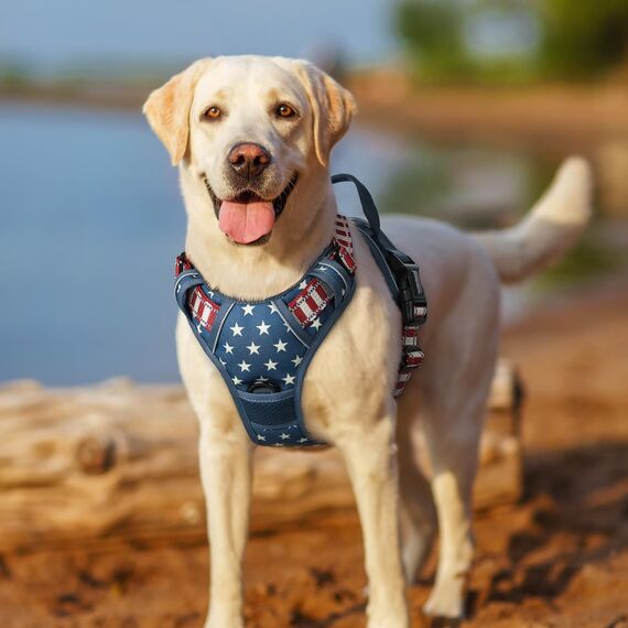 rabbitgoo Hundegeschirr Mittelgroße Hunde, Anti Zug Geschirr mit Kontrolle, No Pull Verstellbar Hundegeschirr Grosse Hunde, Atmungsaktiv Reflexstreifen Brustgeschirr Sichere，Blauer Stern，L