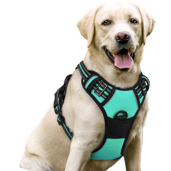 rabbitgoo Hundegeschirr Grosse Hunde, Anti Zug Geschirr mit Kontrolle, No Pull Verstellbar Hundegeschirr Mittelgroße Hunde, Atmungsaktiv Reflexstreifen Brustgeschirr Sichere Führung, Mint Grün, L