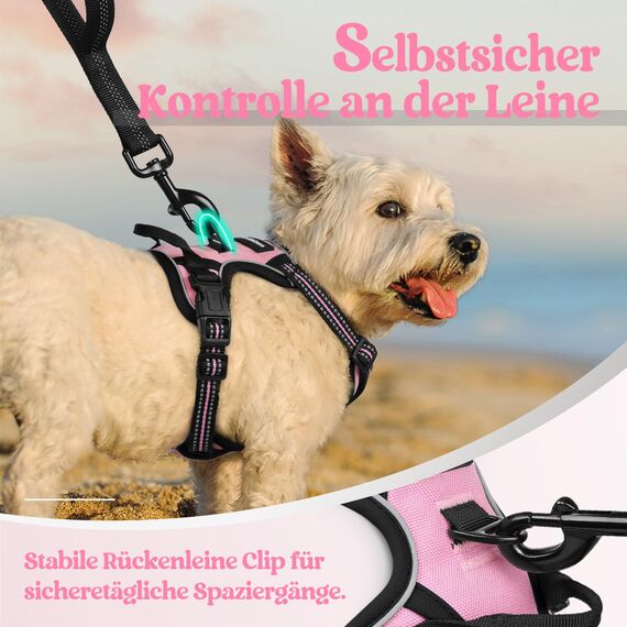 rabbitgoo Hundegeschirr Kleine Hunde, Anti Zug Geschirr mit Kontrolle, No Pull Verstellbar Hundegeschirr Grosse Hunde, Atmungsaktiv Reflexstreifen Brustgeschirr Sichere Führung Rosa XS