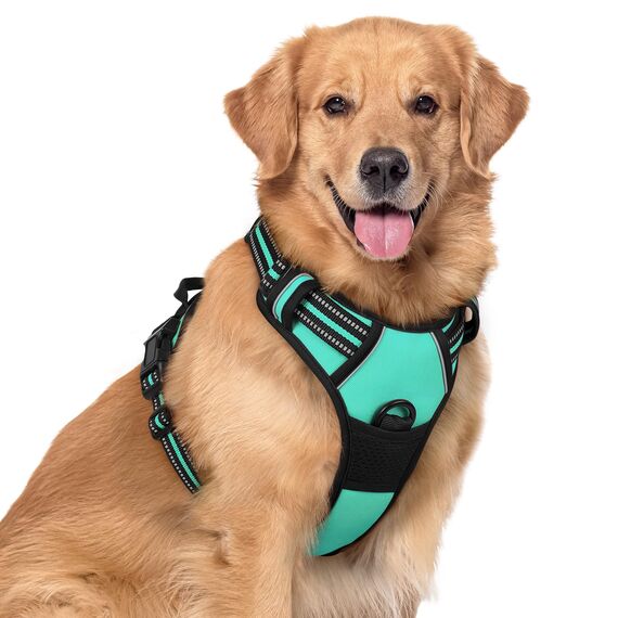 rabbitgoo Hundegeschirr Grosse Hunde, Anti Zug Geschirr mit Kontrolle, No Pull Verstellbar Hundegeschirr Mittelgroße Hunde, Atmungsaktiv Reflexstreifen Brustgeschirr Sichere Führung, Mint Grün, XL