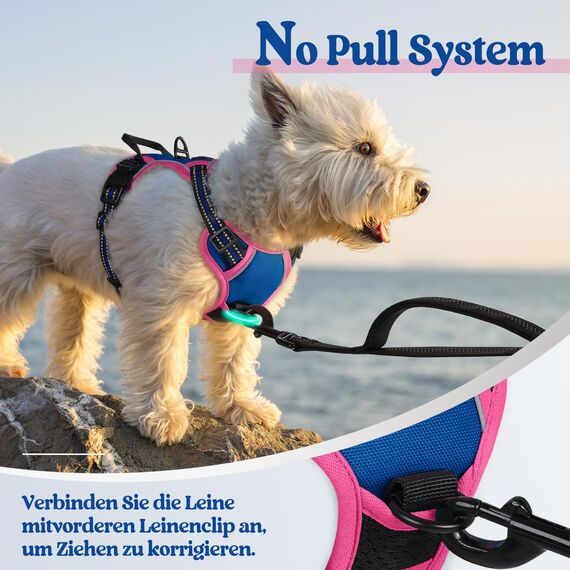 rabbitgoo Hundegeschirr Mittelgroße Hunde, Anti Zug Geschirr mit Kontrolle, No Pull Verstellbar Hundegeschirr Grosse Hunde, Atmungsaktiv Reflexstreifen Brustgeschirr Sichere Führung,Blau & Rosarot,XS