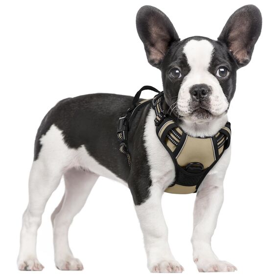rabbitgoo Hundegeschirr Mittelgroße Hunde, Anti Zug Geschirr mit Kontrolle, No Pull Verstellbar Hundegeschirr Grosse Hunde, Atmungsaktiv Reflexstreifen Brustgeschirr Sichere Führung Kaki S