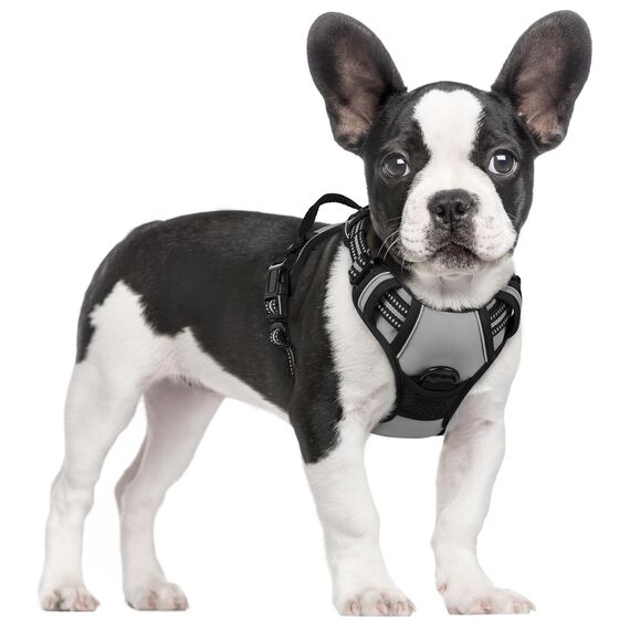 rabbitgoo Hundegeschirr Mittelgroße Hunde, Anti Zug Geschirr mit Kontrolle, No Pull Verstellbar Hundegeschirr Grosse Hunde, Atmungsaktiv Reflexstreifen Brustgeschirr Sichere Führung Grau S