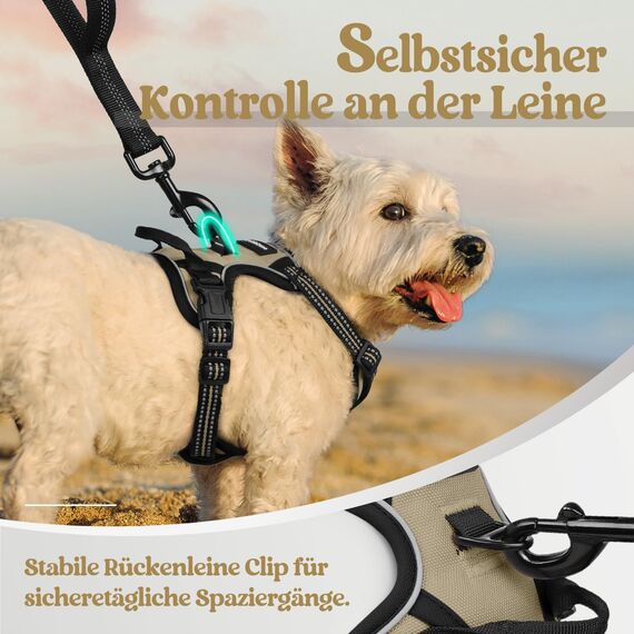 rabbitgoo Hundegeschirr Kleine Hunde, Anti Zug Geschirr mit Kontrolle, No Pull Verstellbar Hundegeschirr Grosse Hunde, Atmungsaktiv Reflexstreifen Brustgeschirr Sichere Führung Kaki XS