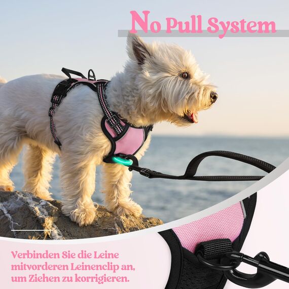 rabbitgoo Hundegeschirr Kleine Hunde, Anti Zug Geschirr mit Kontrolle, No Pull Verstellbar Hundegeschirr Grosse Hunde, Atmungsaktiv Reflexstreifen Brustgeschirr Sichere Führung Rosa XS