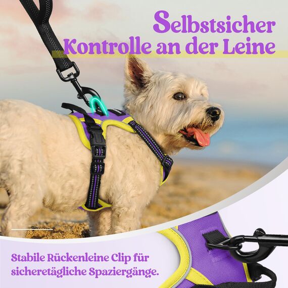 rabbitgoo Hundegeschirr Kleine Hunde Anti Zug Geschirr Hund mit Kontrolle No Pull Verstellbar Hundegeschirr Grosse Hunde Atmungsaktiv Reflexstreifen Brustgeschirr Hund Sichere Führung Lila+Gelb XS