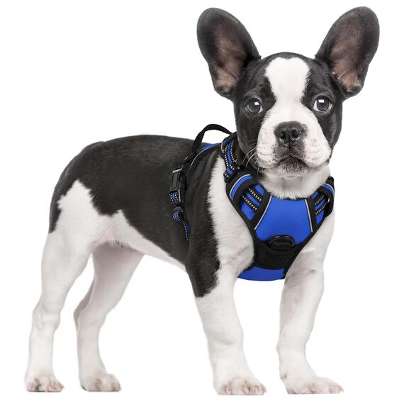 rabbitgoo Hundegeschirr Mittelgroße Hunde, Anti Zug Geschirr mit Kontrolle, No Pull Verstellbar Hundegeschirr Grosse Hunde, Atmungsaktiv Reflexstreifen Brustgeschirr Sichere Führung Blau S
