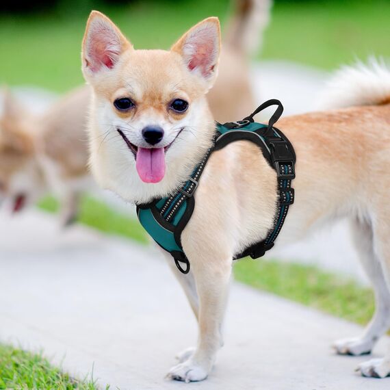 rabbitgoo Hundegeschirr Mittelgroße Hunde, Anti Zug Geschirr mit Kontrolle, No Pull Verstellbar Hundegeschirr Grosse Hunde, Atmungsaktiv Reflexstreifen Brustgeschirr Sichere Führung Dunkelgrün S