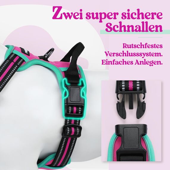 rabbitgoo Hundegeschirr Mittelgroße Hunde, Anti Zug Geschirr mit Kontrolle, No Pull Verstellbar Hundegeschirr Grosse Hunde, Atmungsaktiv Reflexstreifen Brustgeschirr Sichere，Rosarot & Mint Grün，S