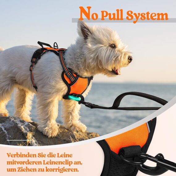 rabbitgoo Hundegeschirr Kleine Hunde, Anti Zug Geschirr mit Kontrolle, No Pull Verstellbar Hundegeschirr Grosse Hunde, Atmungsaktiv Reflexstreifen Brustgeschirr Sichere Führung Orange XS