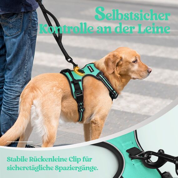 rabbitgoo Hundegeschirr Grosse Hunde, Anti Zug Geschirr mit Kontrolle, No Pull Verstellbar Hundegeschirr Mittelgroße Hunde, Atmungsaktiv Reflexstreifen Brustgeschirr Sichere Führung, Mint Grün, L